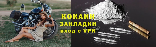 стаф Абинск
