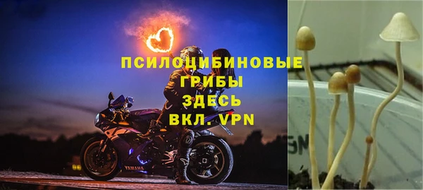 стаф Абинск