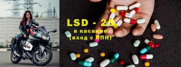 индика Алзамай