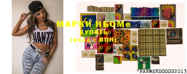 индика Алзамай